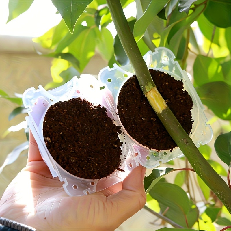 10Pcs High Pressure Plant Root - đánh giá và giá Plant Parent Kit